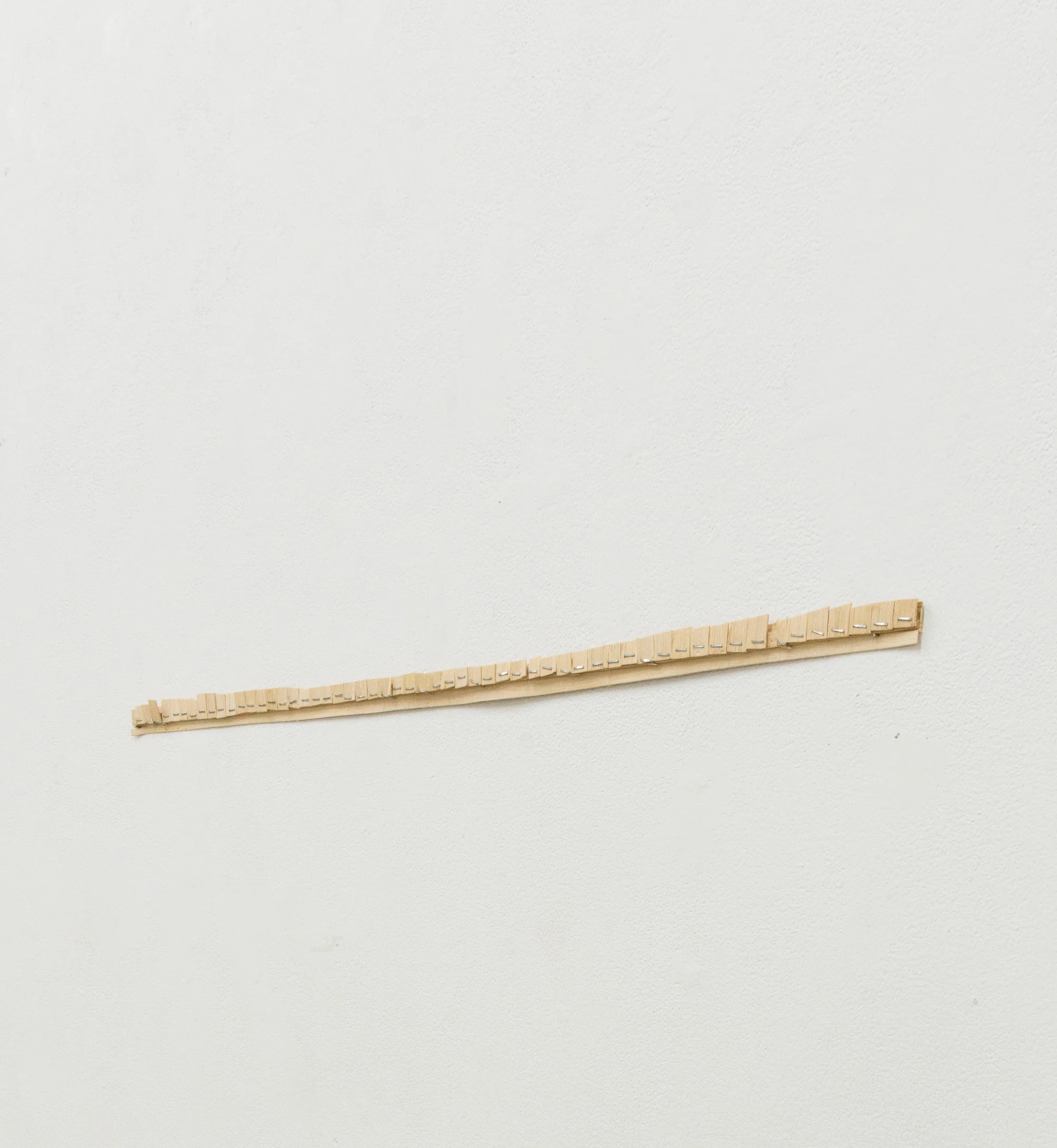 basket caning, staples, 36"x 1.5" x .5", 2016
