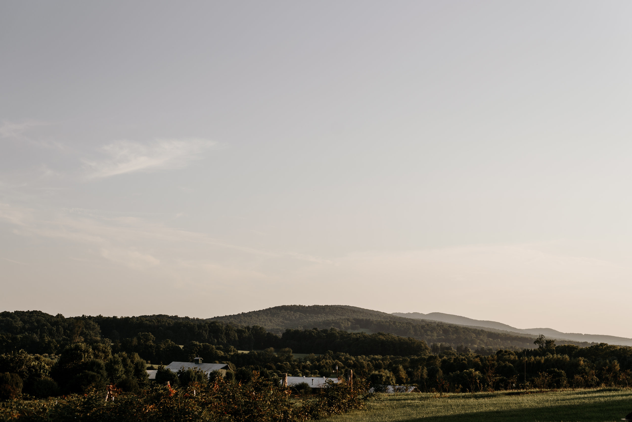 Lauren-Trell-Wedding-Market-at-Grelen-Virginia-Photography-by-V-6545.jpg