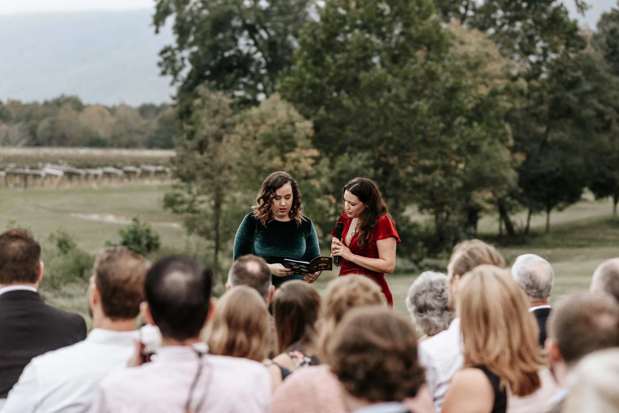 Veritas-Vineyards-and-Winery-Wedding-Photography-Afton-Virginia-Yasmin-Seth-Photography-by-V-2828.jpg