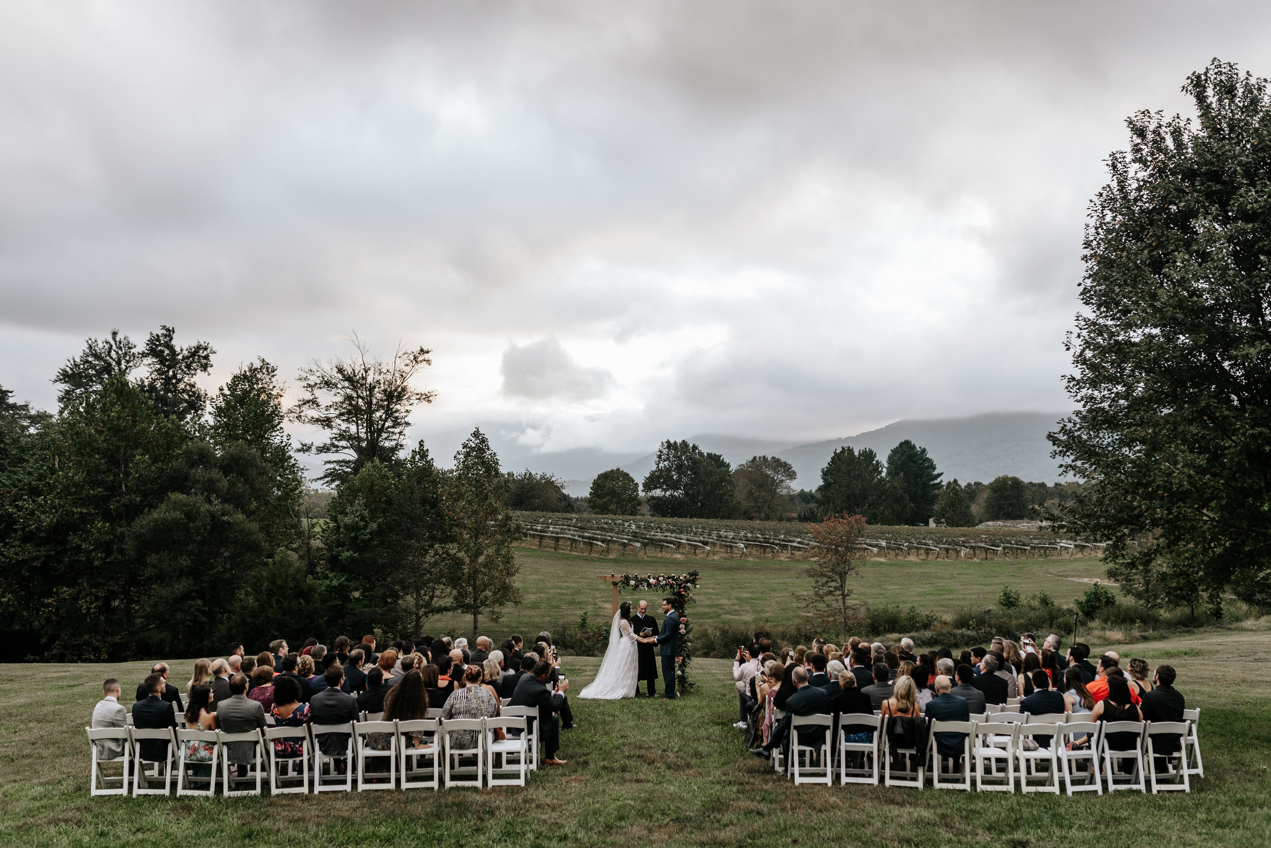 Veritas-Vineyards-and-Winery-Wedding-Photography-Afton-Virginia-Yasmin-Seth-Photography-by-V-9647.jpg