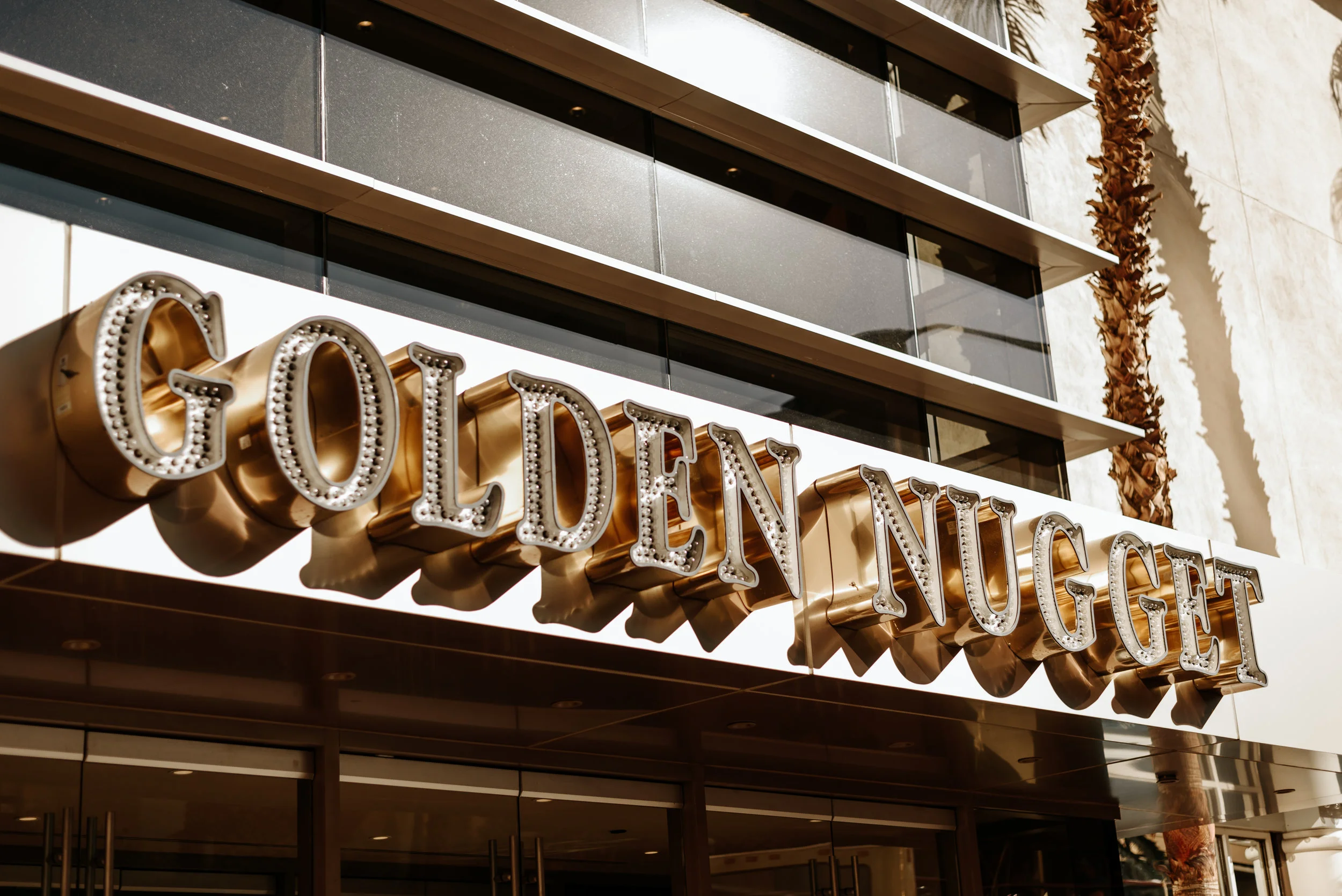 Neon-Museum-Wedding-Las-Vegas-Nevada-Golden-Nugget-Photography-by-V-Ally-and-Dan-6491.jpg