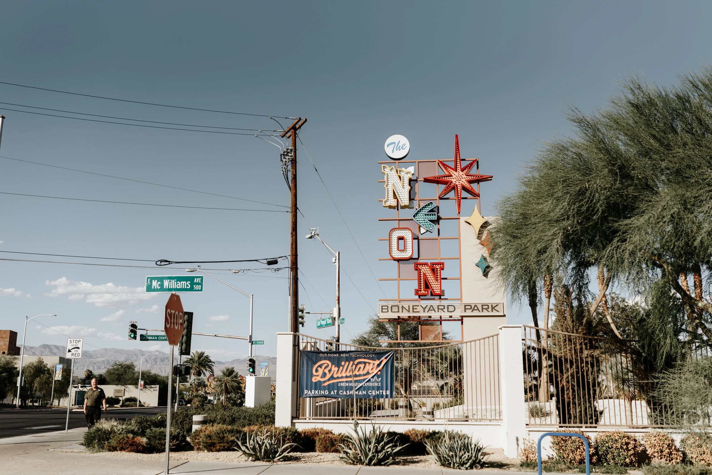 Neon-Museum-Wedding-Las-Vegas-Nevada-Golden-Nugget-Photography-by-V-Ally-and-Dan-2750.jpg
