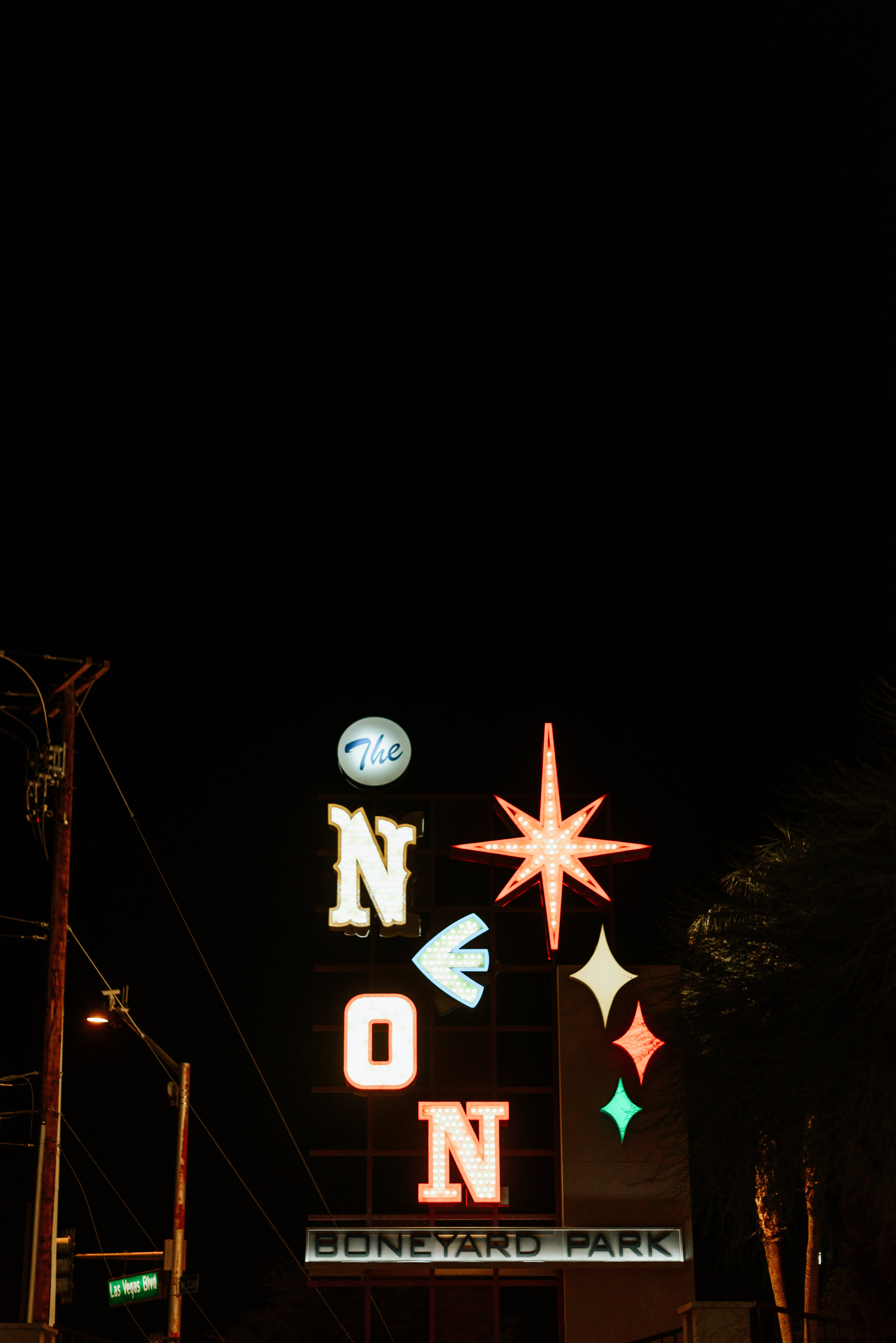 Neon-Museum-Wedding-Las-Vegas-Nevada-Golden-Nugget-Photography-by-V-Ally-and-Dan-7365.jpg