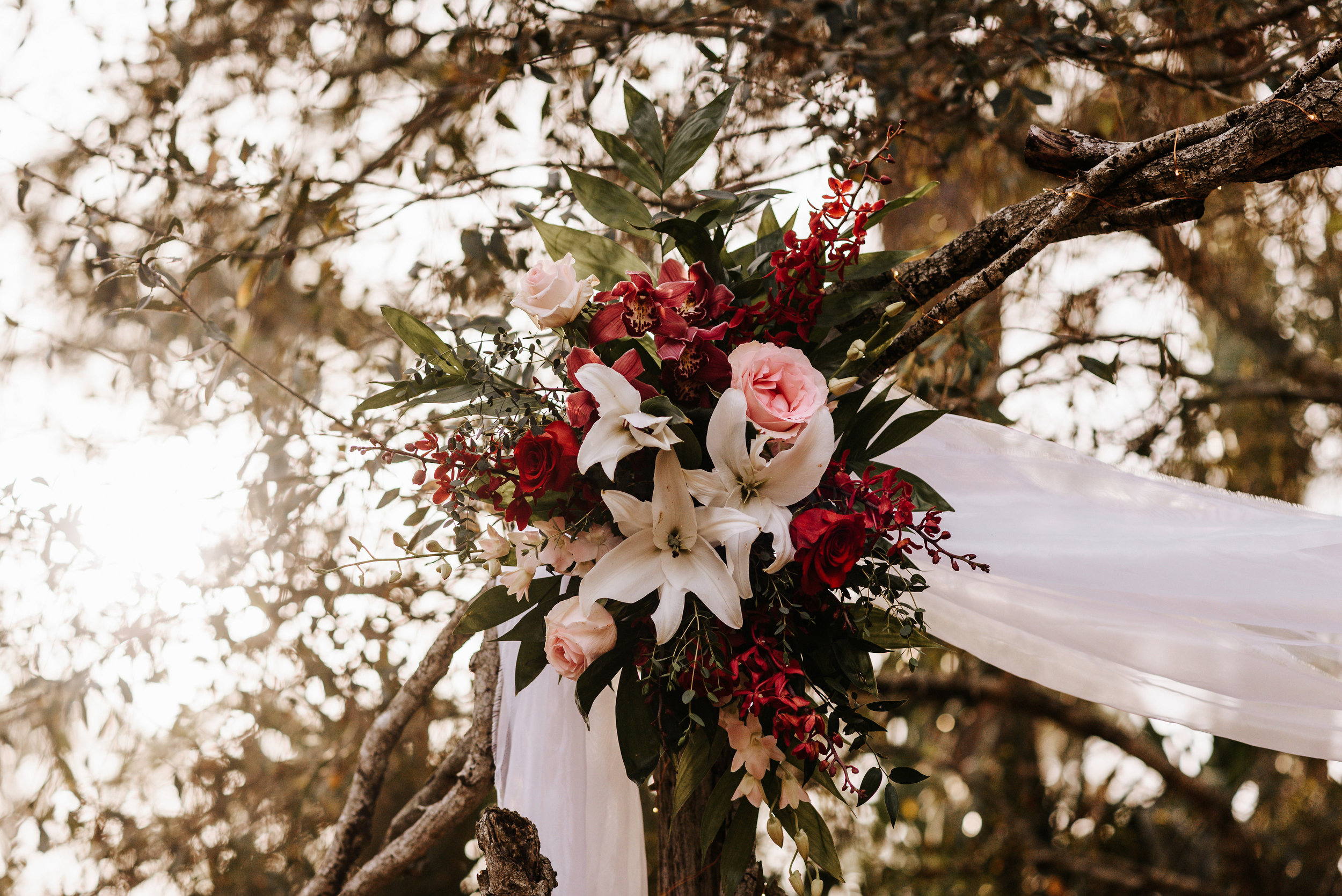 Alexia_Celeste_Wedding_Cielo_Blu_Barn_Photography_by_V_2233.jpg