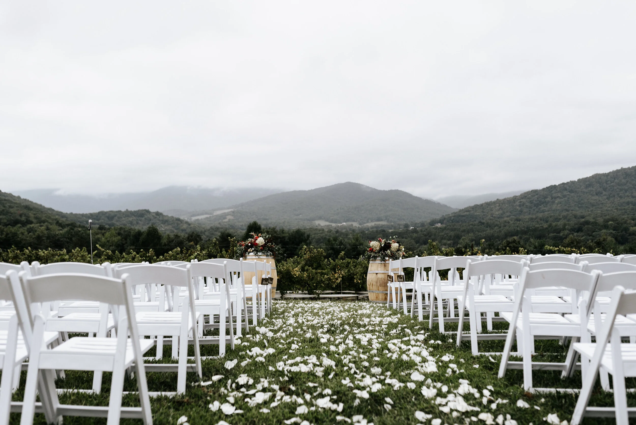 Allison_Nolan_Moss_Vineyards_Wedding_Charlottesville_Virginia_Photography_by_V_36.jpg