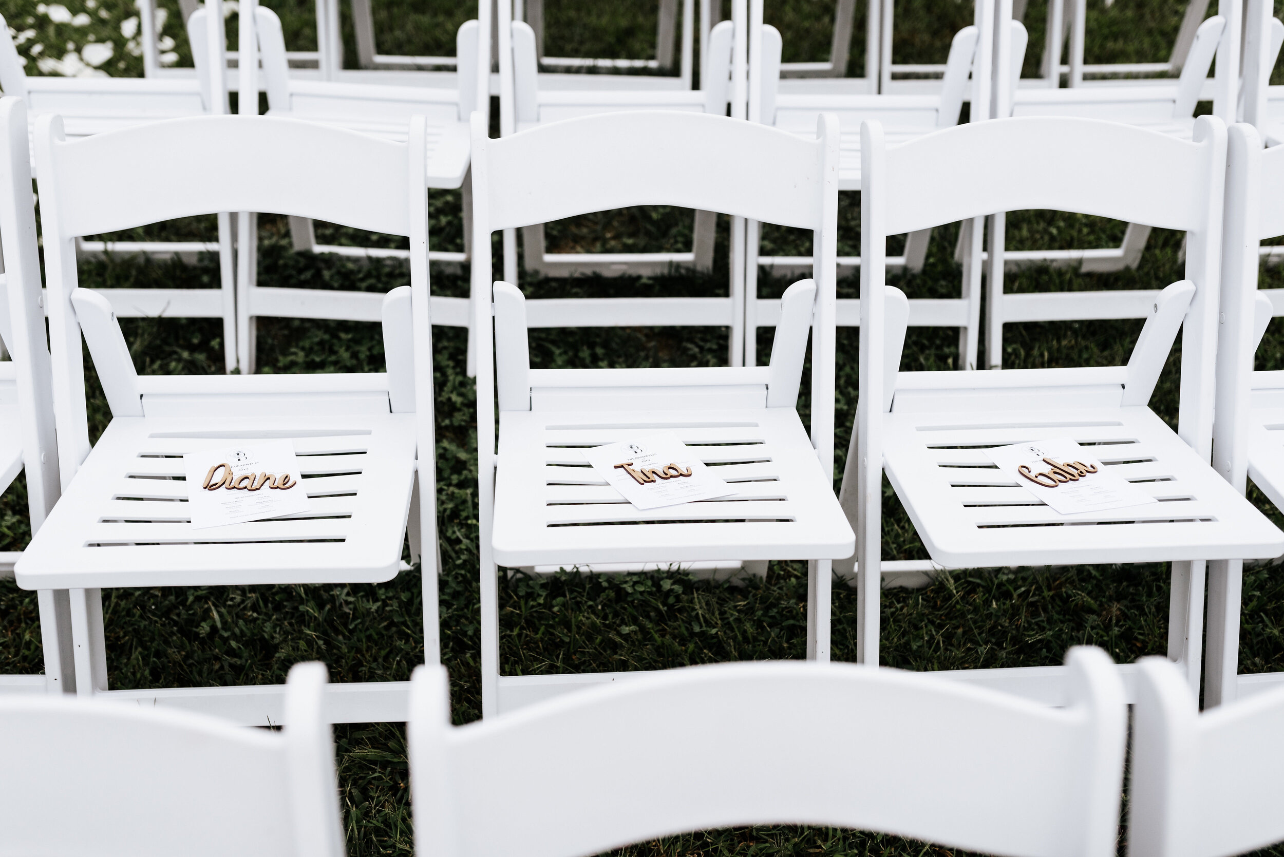 Allison_Nolan_Moss_Vineyards_Wedding_Charlottesville_Virginia_Photography_by_V_37.jpg