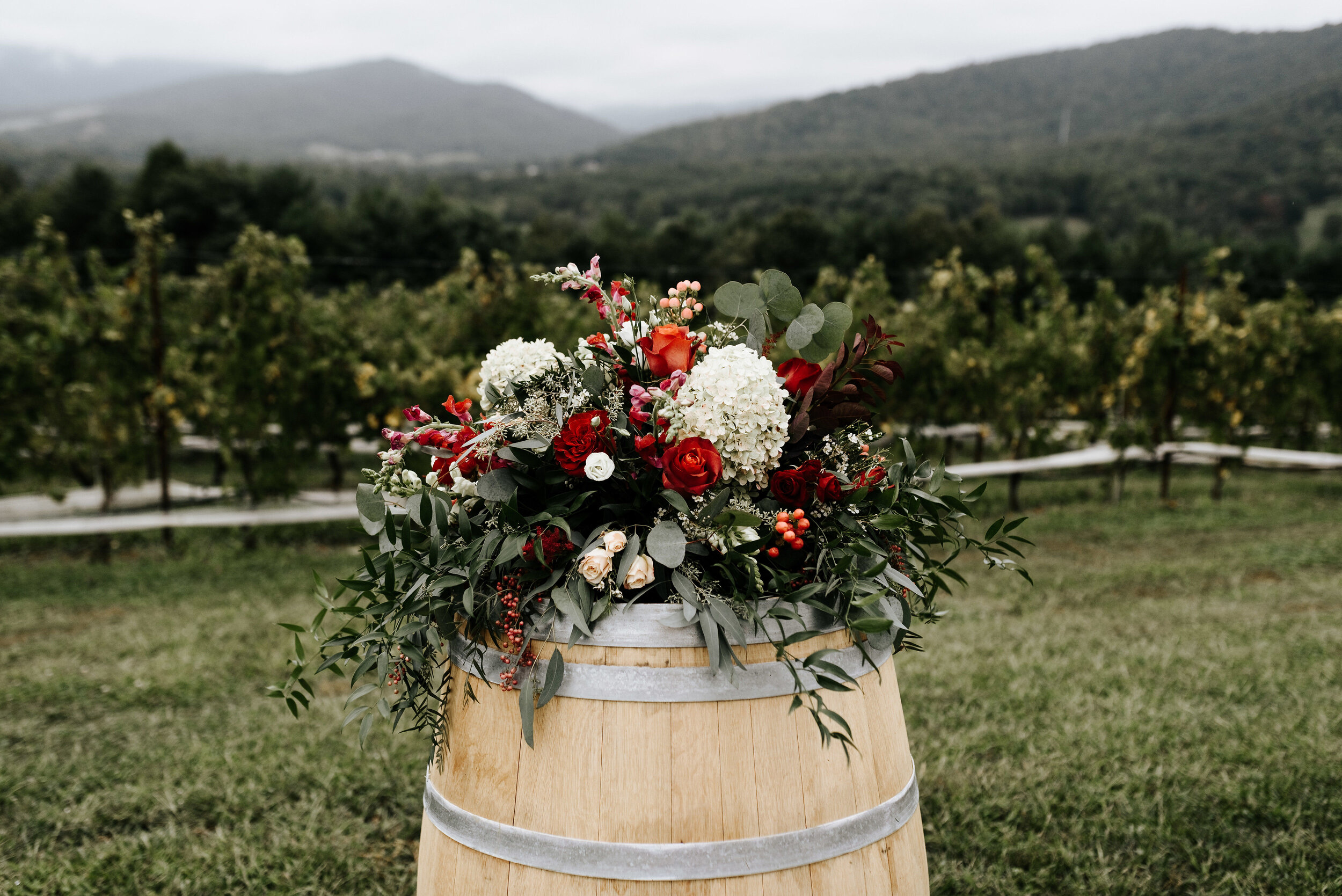 Allison_Nolan_Moss_Vineyards_Wedding_Charlottesville_Virginia_Photography_by_V_38.jpg