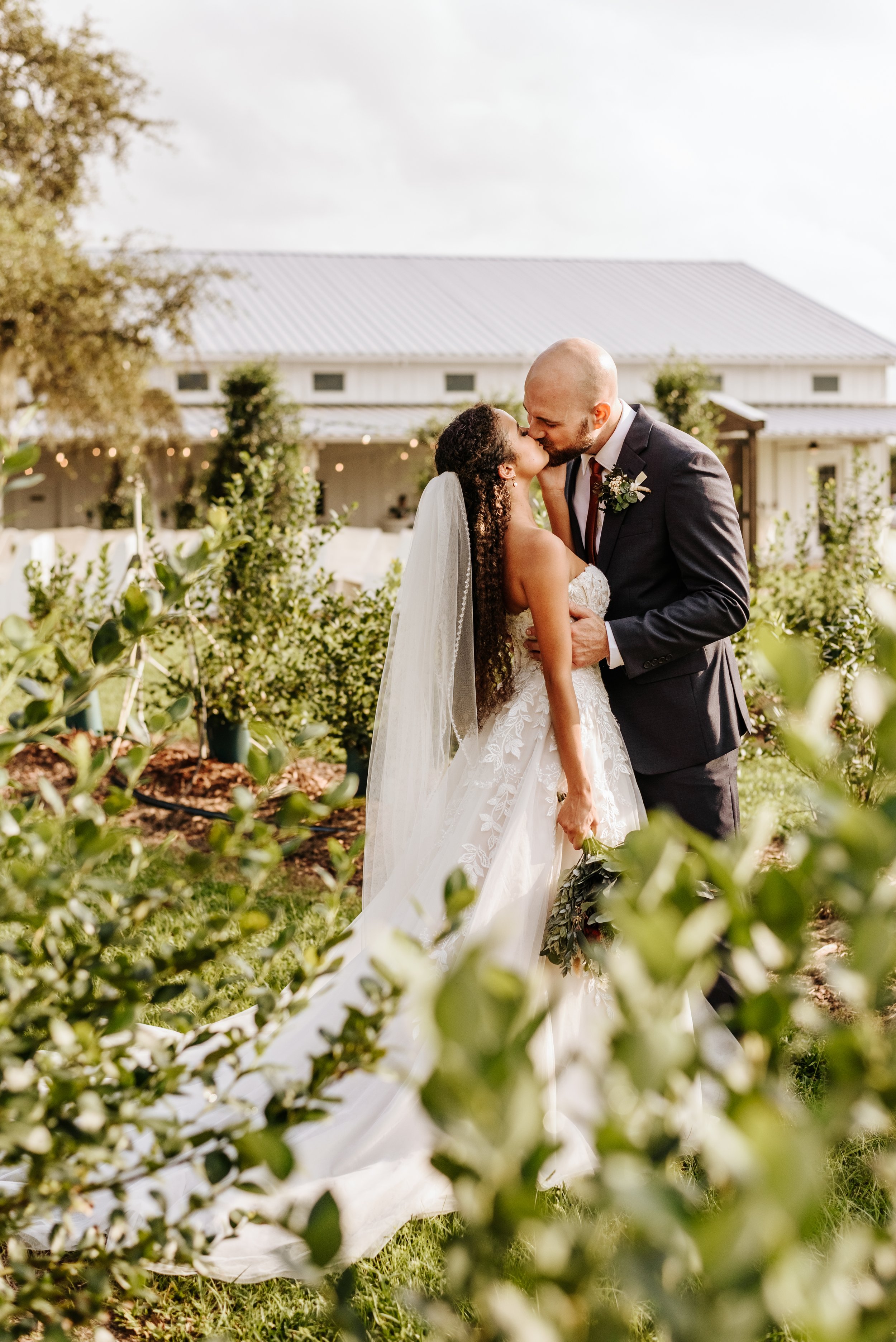 Leilani + Nick || Ever After Farms Blueberry Barn