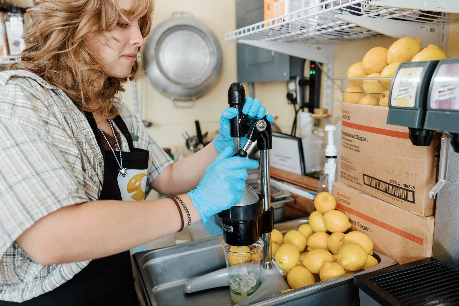 Freshly Squeezed Lemonade
