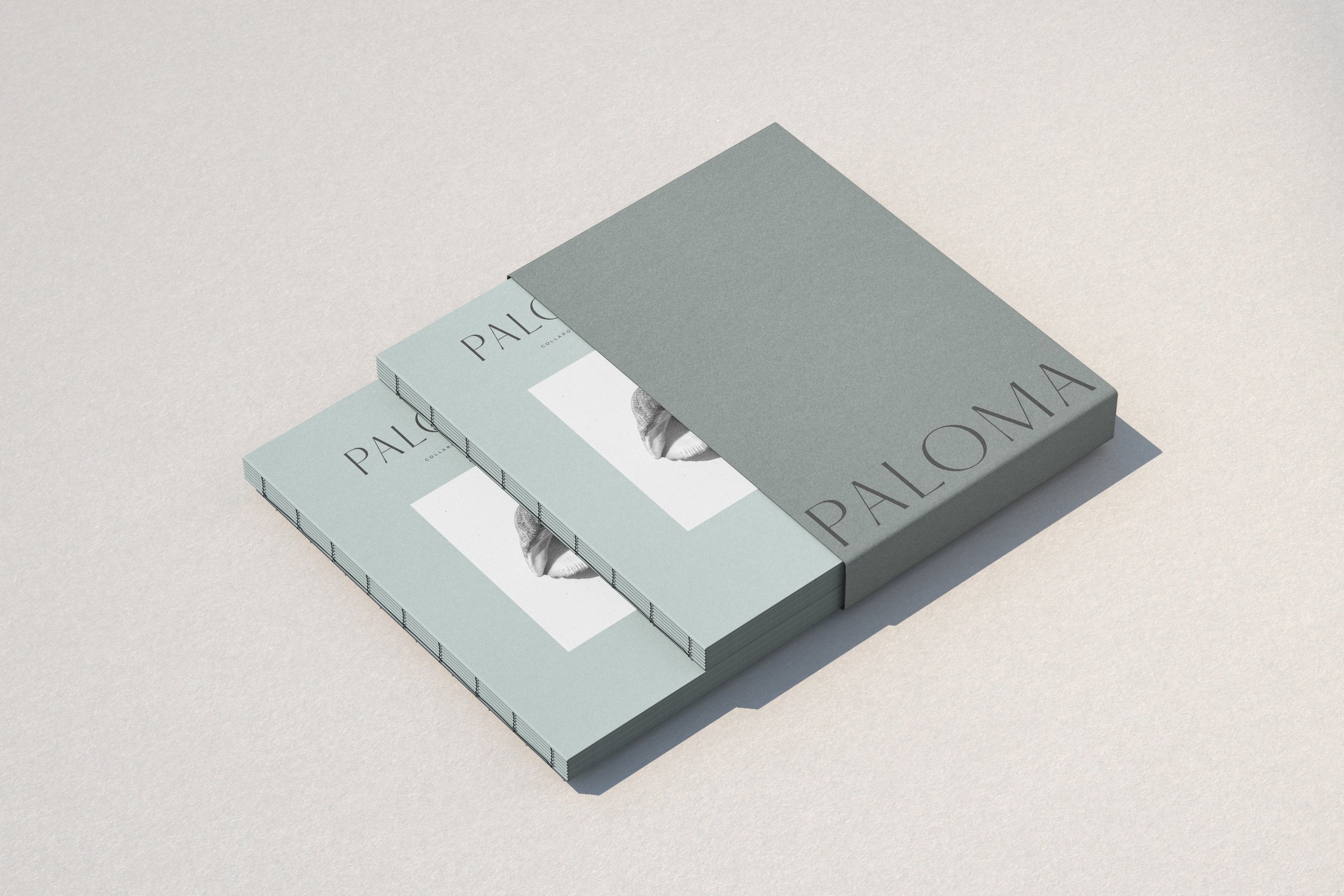 Paloma, Collaroy Basin