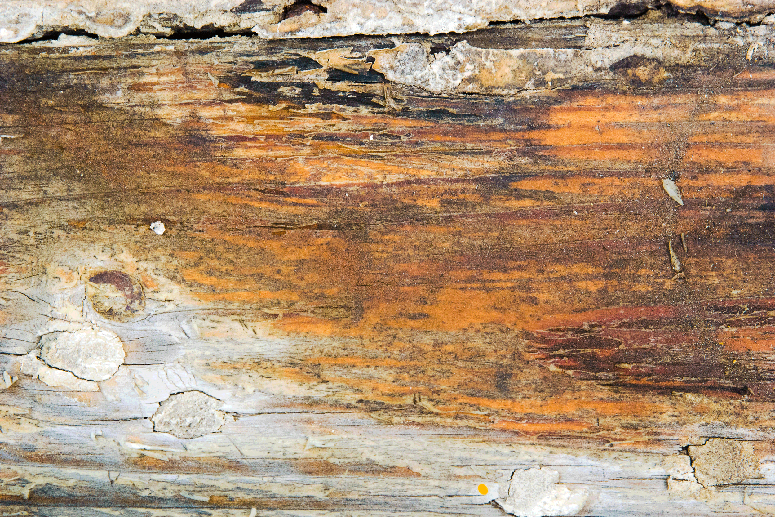 Stained Wood.png