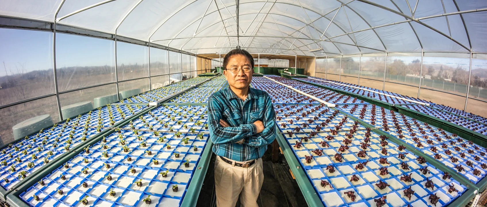 aquaponics-urbanlife-home1.jpg