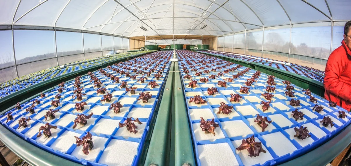 SanMartinAquaponics2.jpg