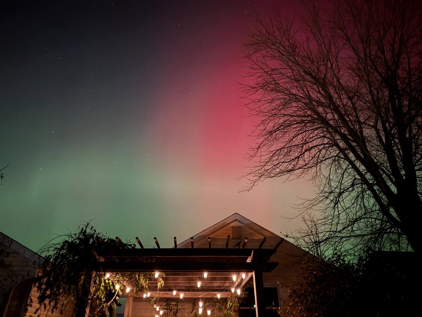 I&rsquo;m not even sure I have words to describe how magical and awesome it was to see the Northern lights last night!  Watching the lights shift and dance and create patterns - I could have stayed up way later than I did taking photos and just sitti