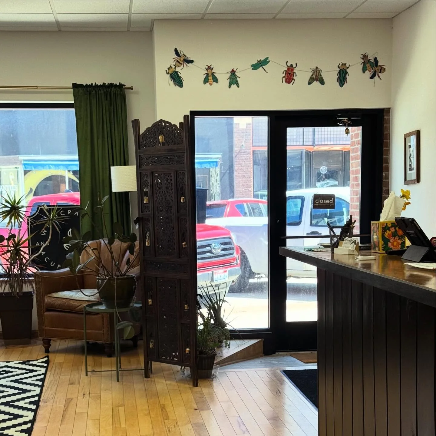 Fun new friends above the front door from @jubileedecorah 🐞🪲🦟🐜🦋

If you&rsquo;ve been in, you know most of the art in the office is inspired by the natural world and a hodgepodge of mushrooms, flora + insect life!  These insect buddies fit right