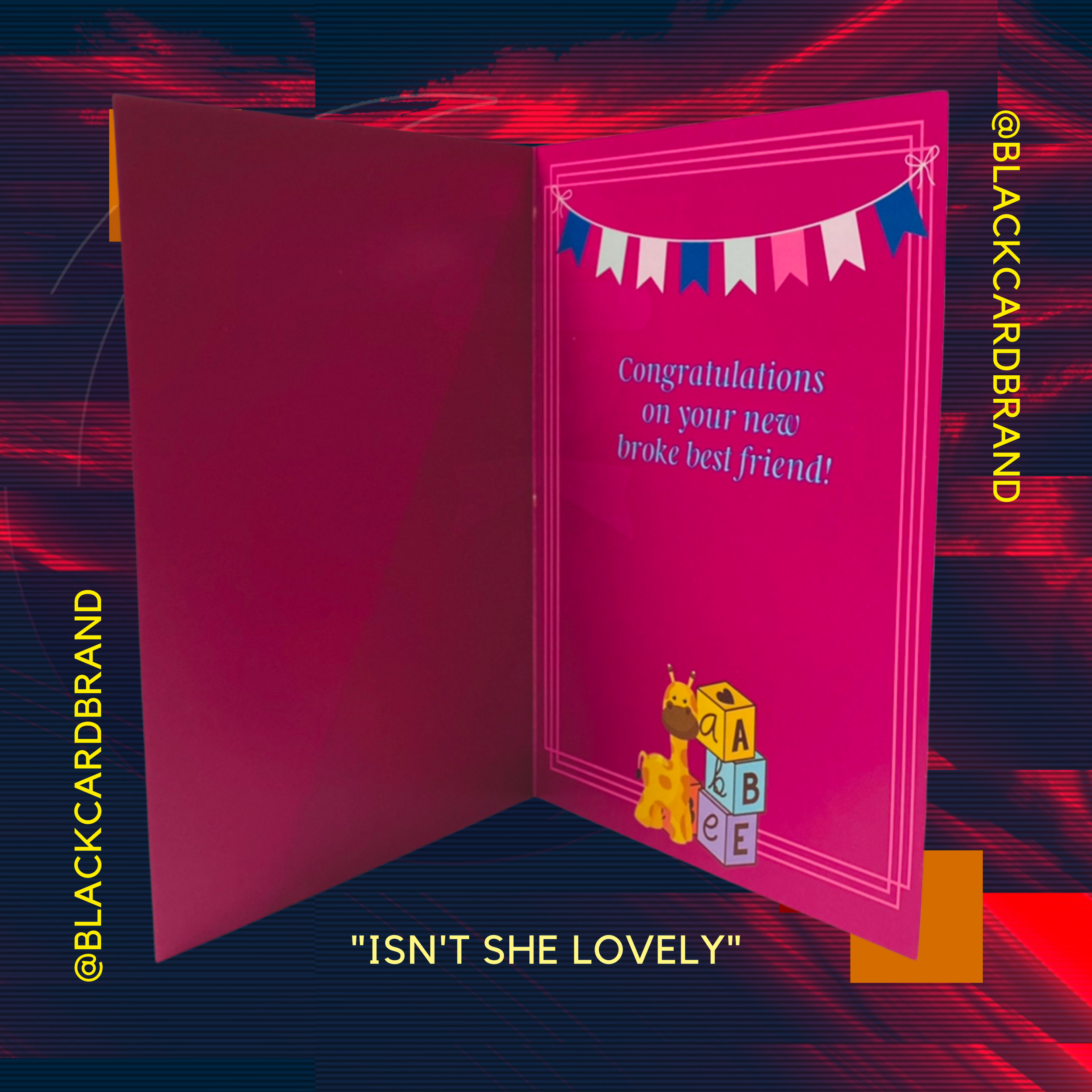 isntshelovelygraphic2.png