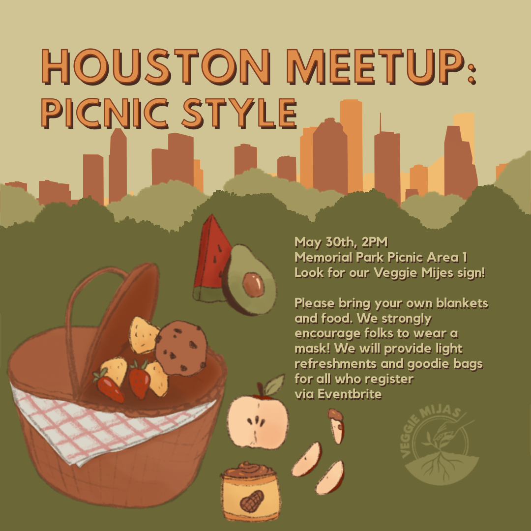 Houston_PicnicMeetup_InstaFeed.png