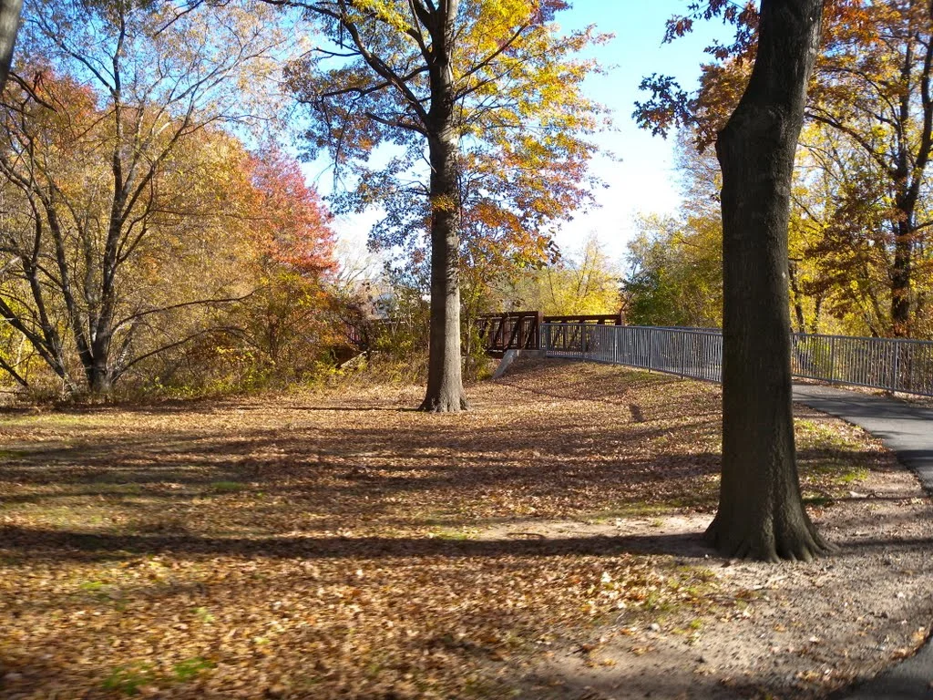 saddle River 2.jpg