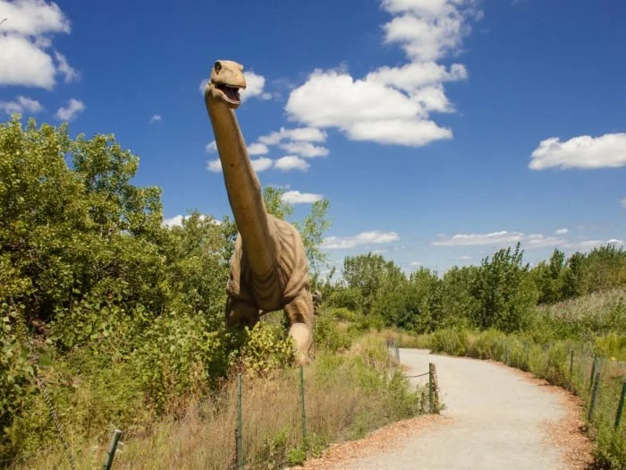 Dino.jpg