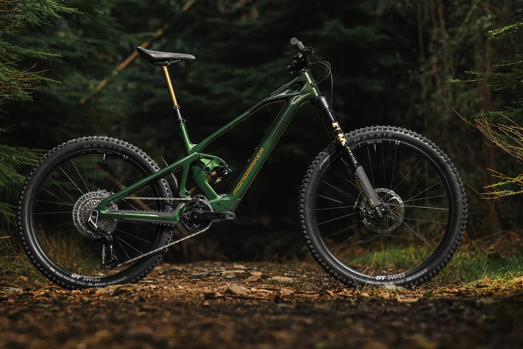 Full-Power or Lightweight? Choosing the Right E-Mountain Bike