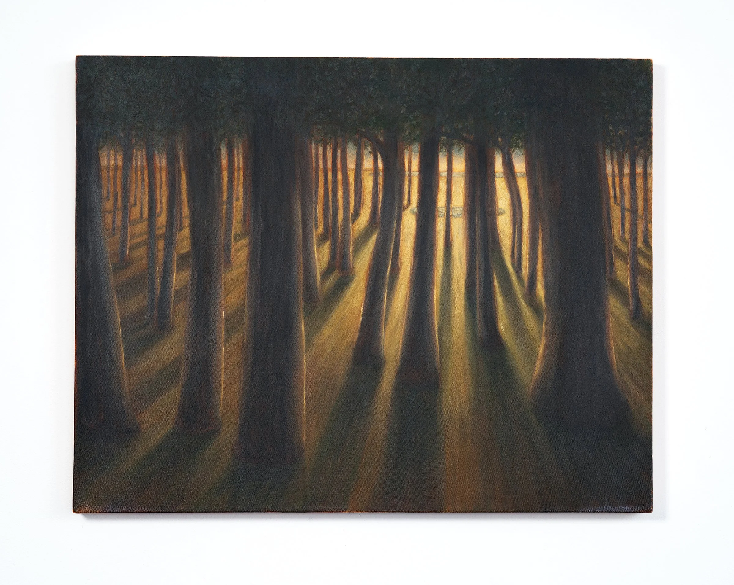 10. The Forest_Allegory of Thresholds_Pt 1_Web.jpg