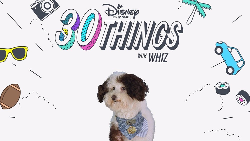 David Elmaleh Disney S 30 Things David Elmaleh Disney S 30 Things