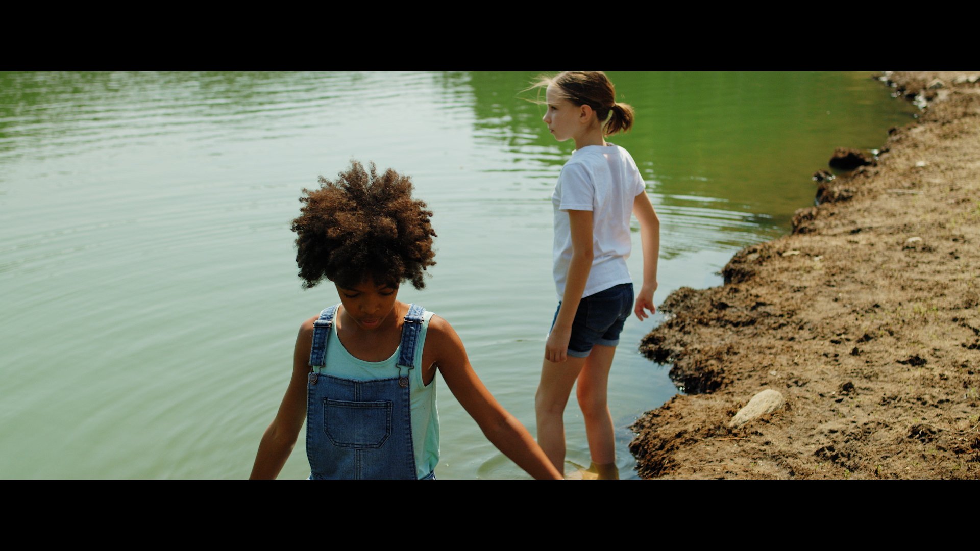 ANDREA GIBSON - HOMESICK