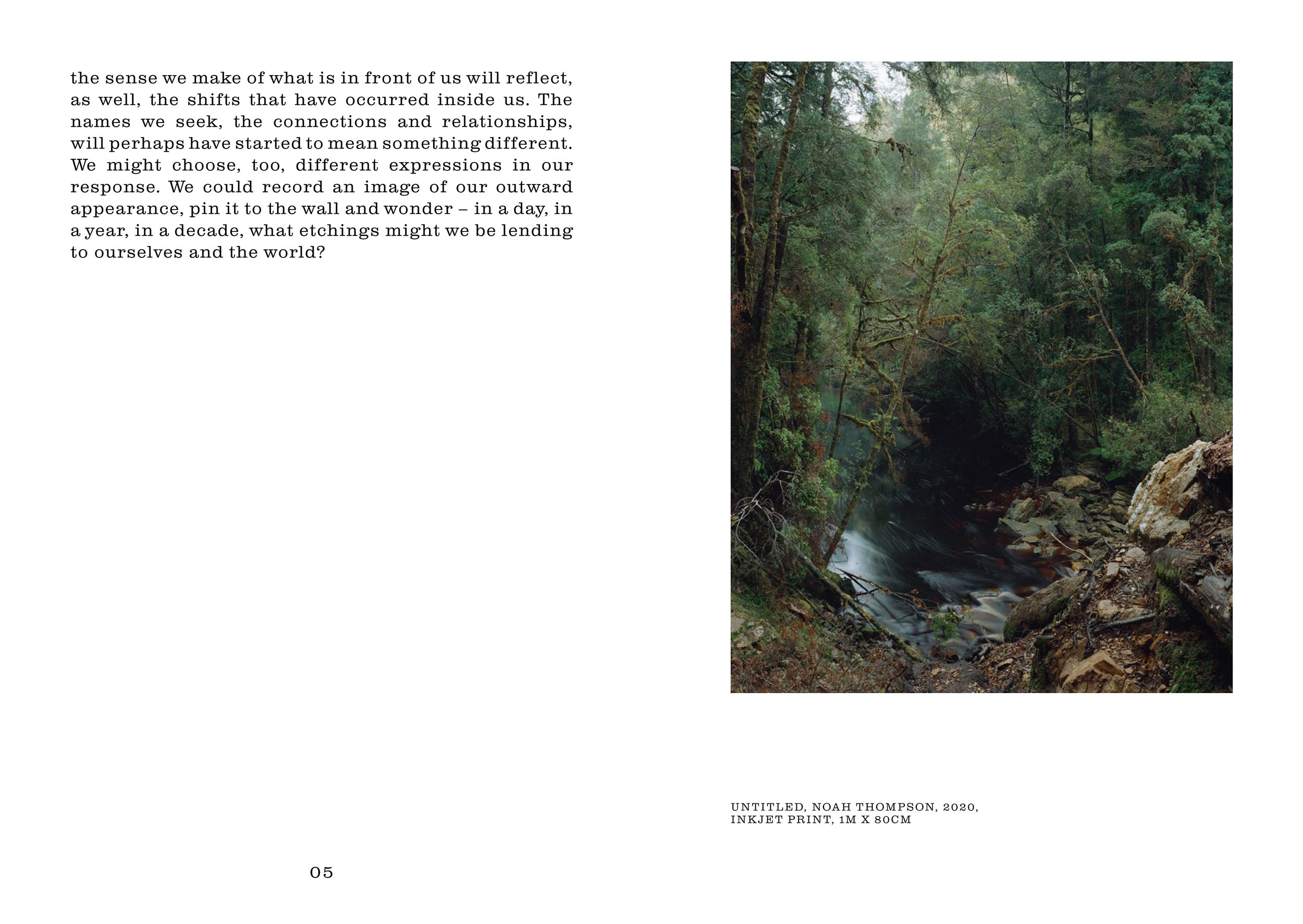   Seeking the Whole  - an essay by Kristen Lang in response to my work  Huon . Printed in booklet format for the exhibition at Hillvale Gallery, July 2021. 