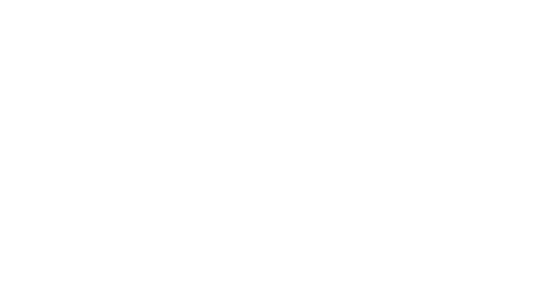 DanaConceptions