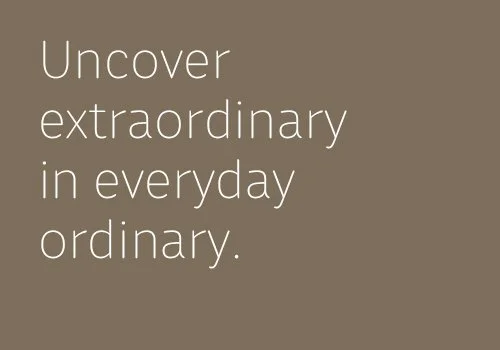 Extraordinary in ordinary.jpg