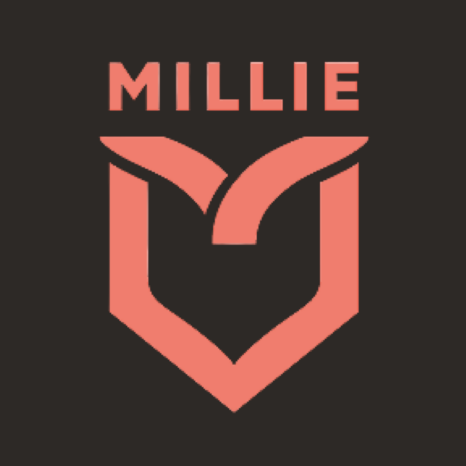 30 Things a MILLIE Scout Can Do For You