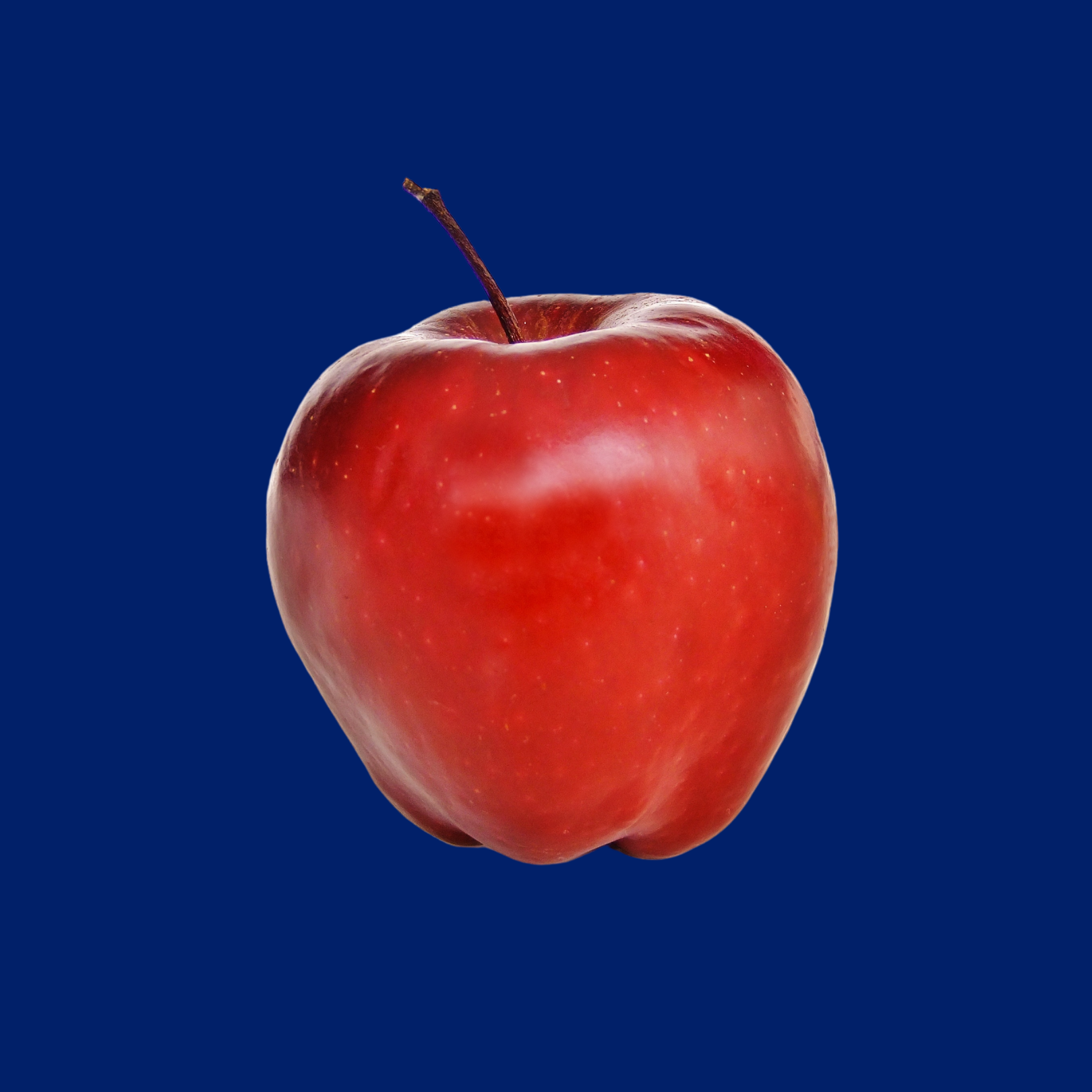 Why Won't My Realtor Tell Me About the "Good Schools?"