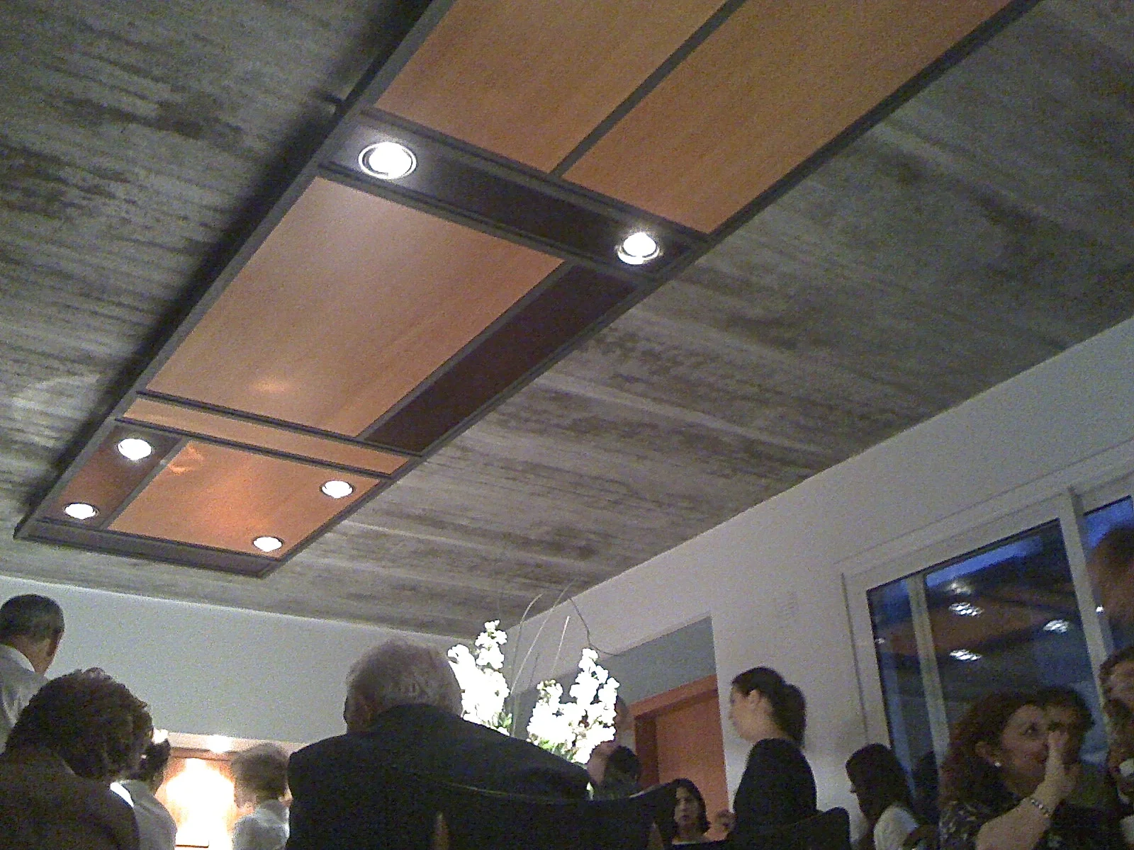 ju techo IMG_3751.jpg