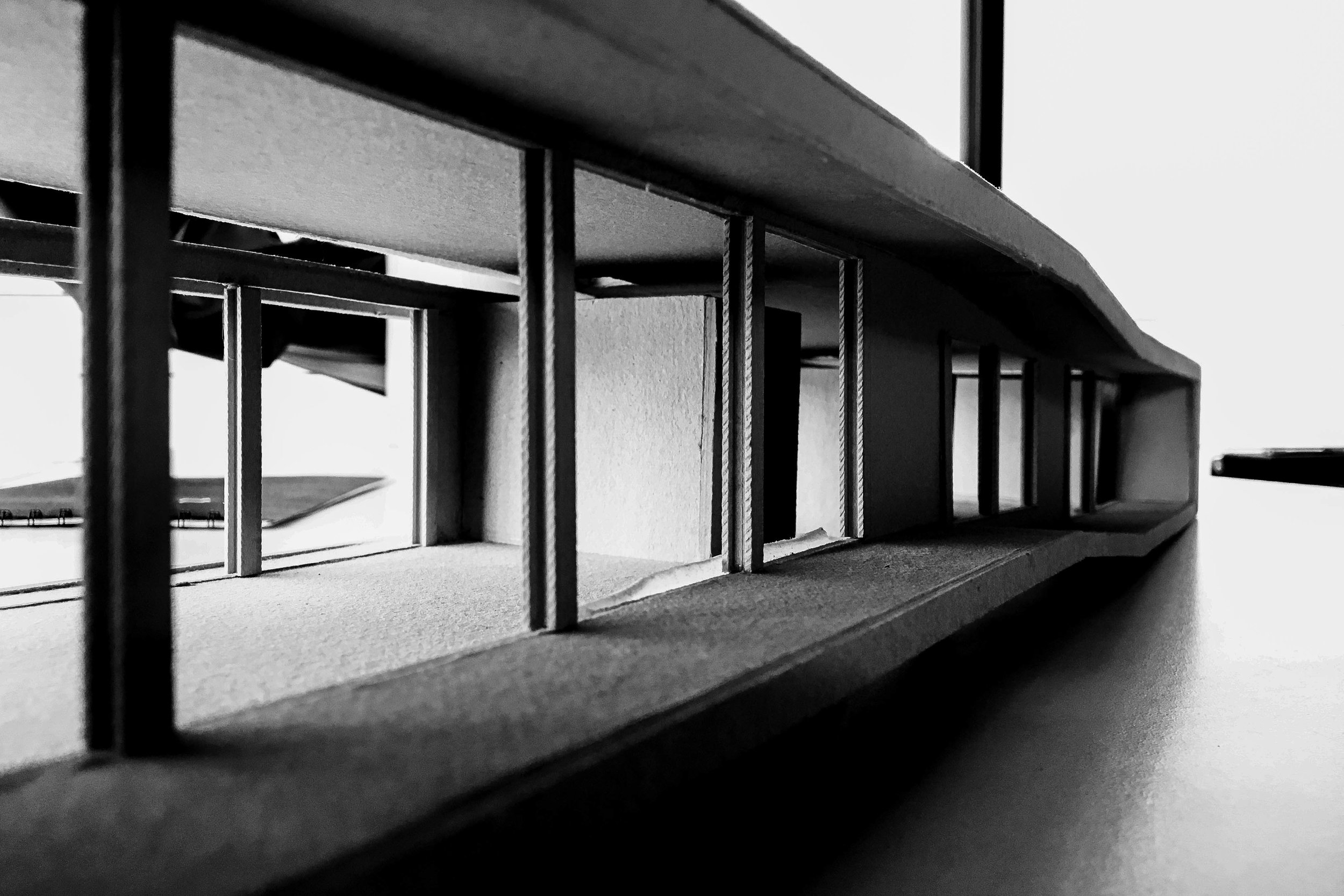 Rodo luciana 20-7675.jpg