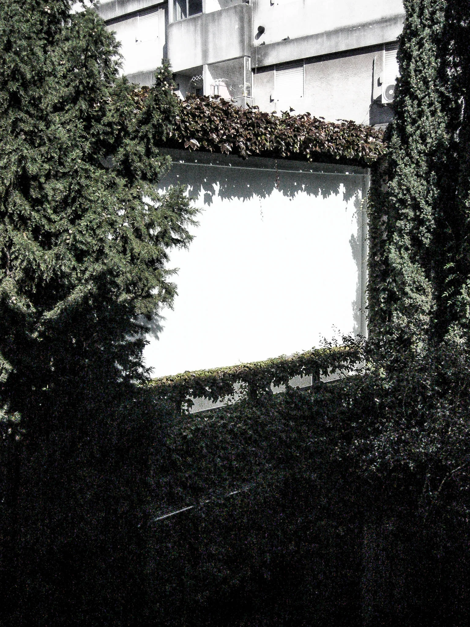 NATY AFUERA-1130815.jpg