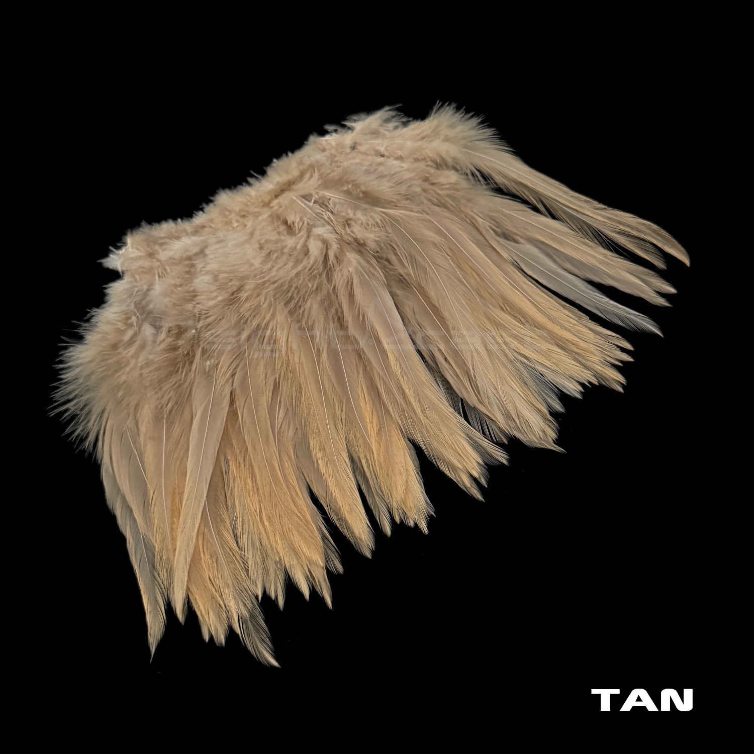 Premium Strung Saddle Hacke - Fly Tying Materials - Tan.JPG