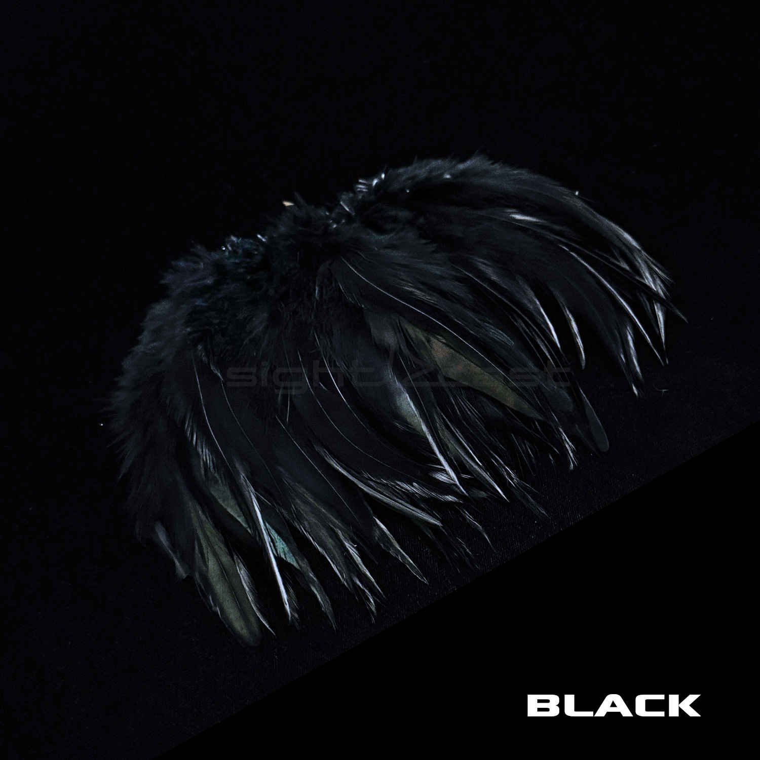 Premium Strung Saddle Hacke - Fly Tying Materials - Black.JPG