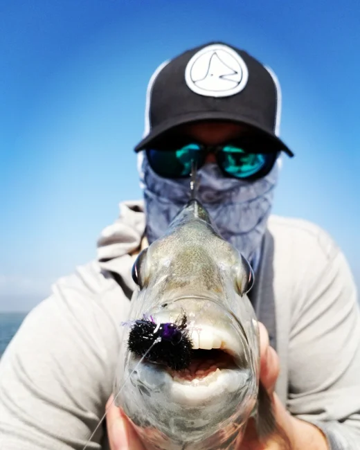 Fly fishing for Sheepshead