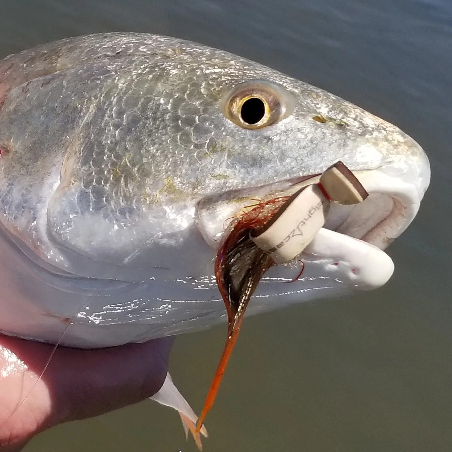 Gurgler Redfish Fly