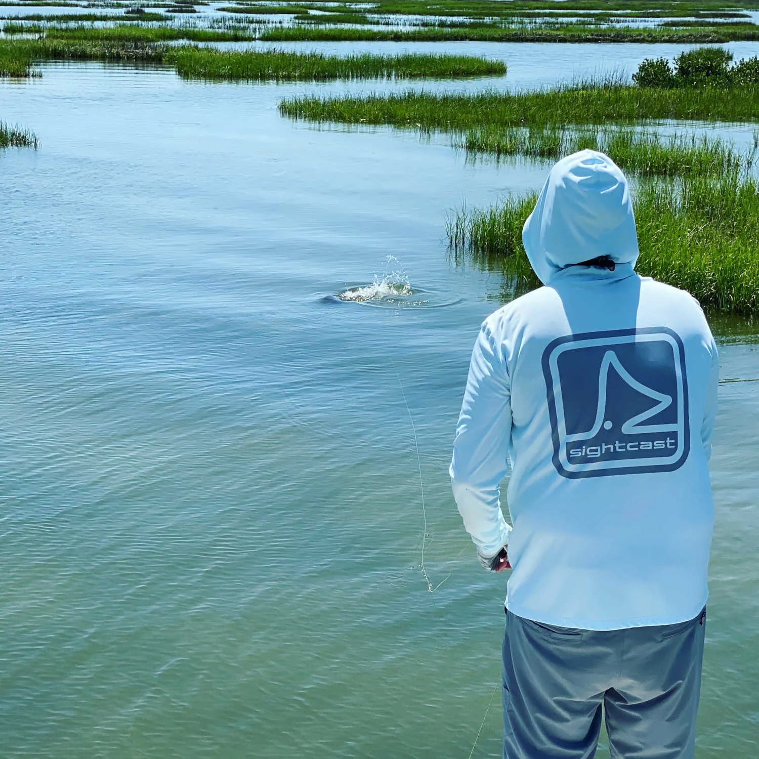 Born in the Backwater Marshes