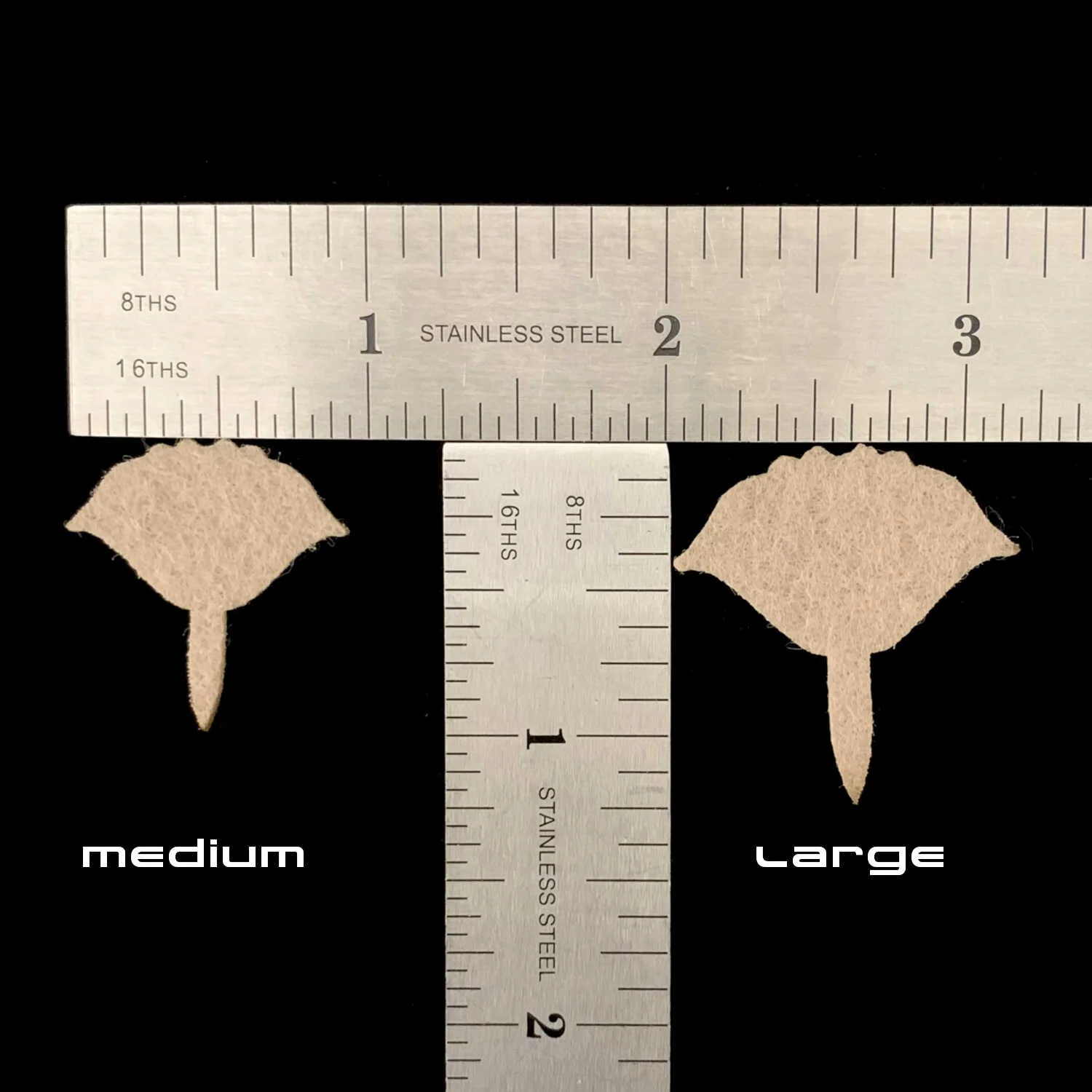 Easy Crab Shell Measurements