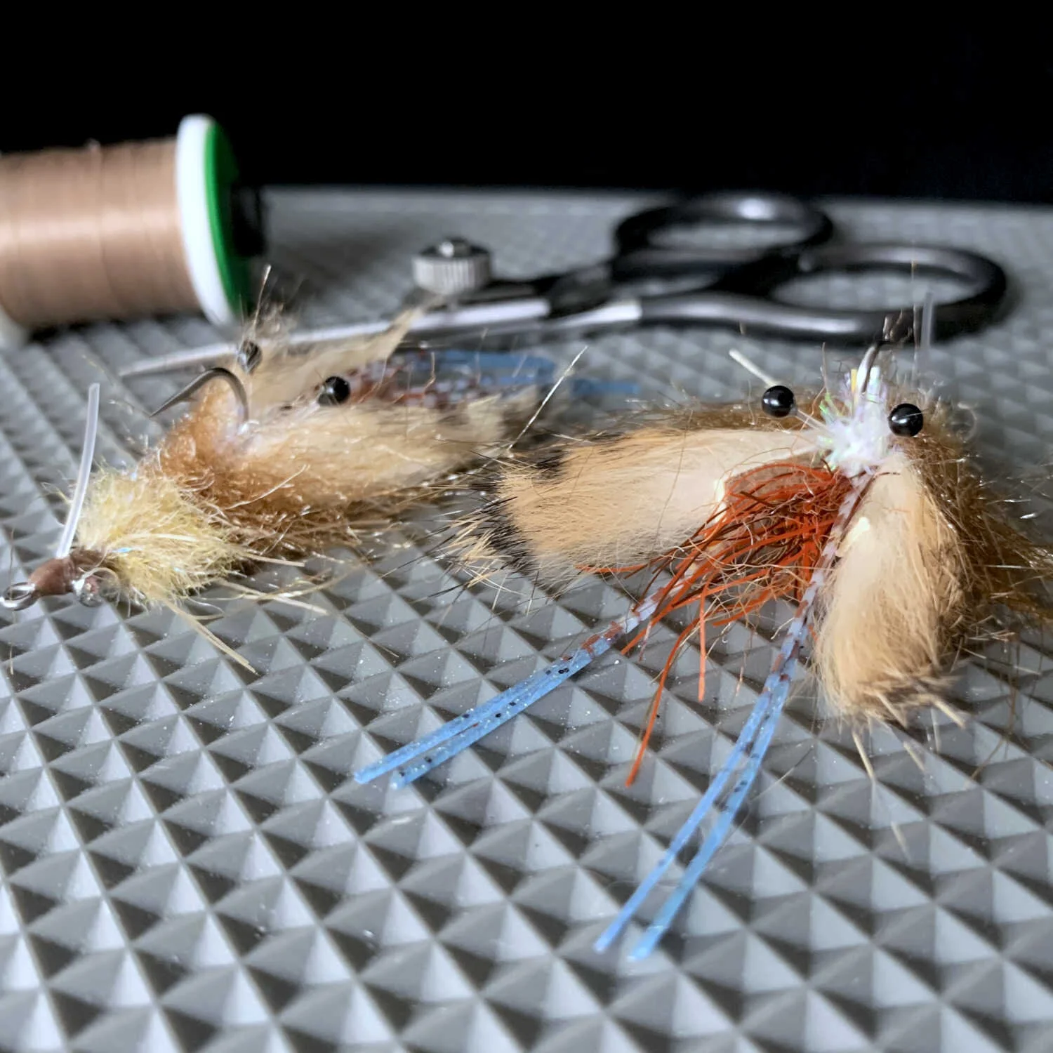 Freeport Fiddler 2 1500x.JPG