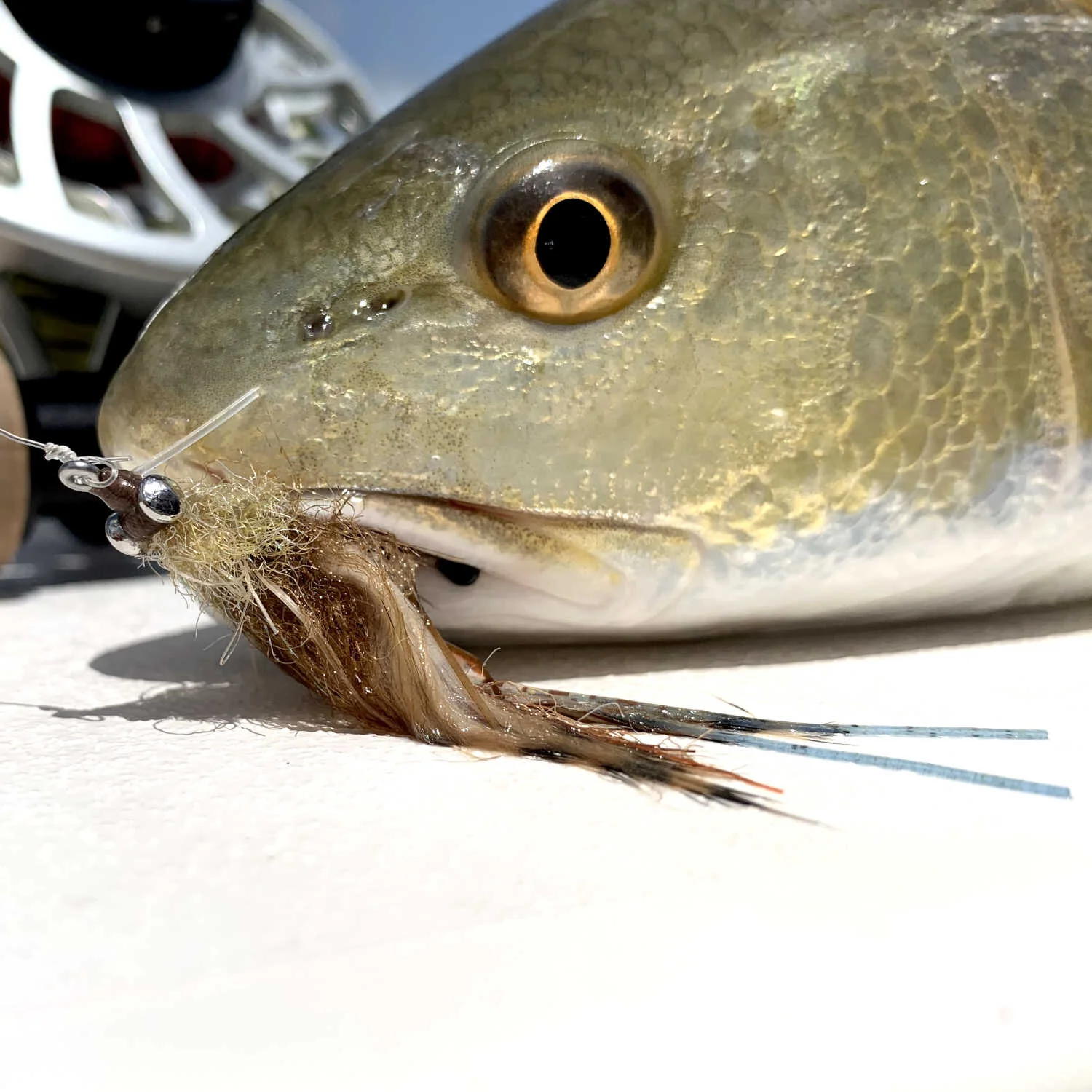 Crab Flies for Redfish