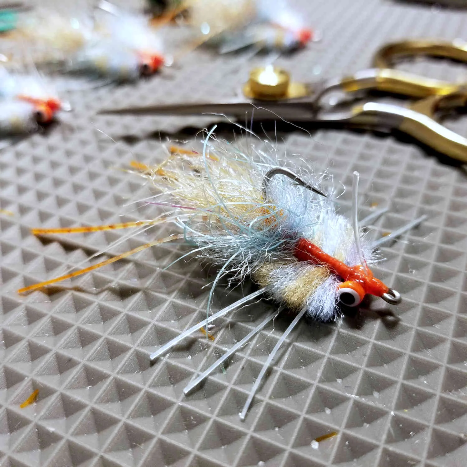 Baffin Blue Crab