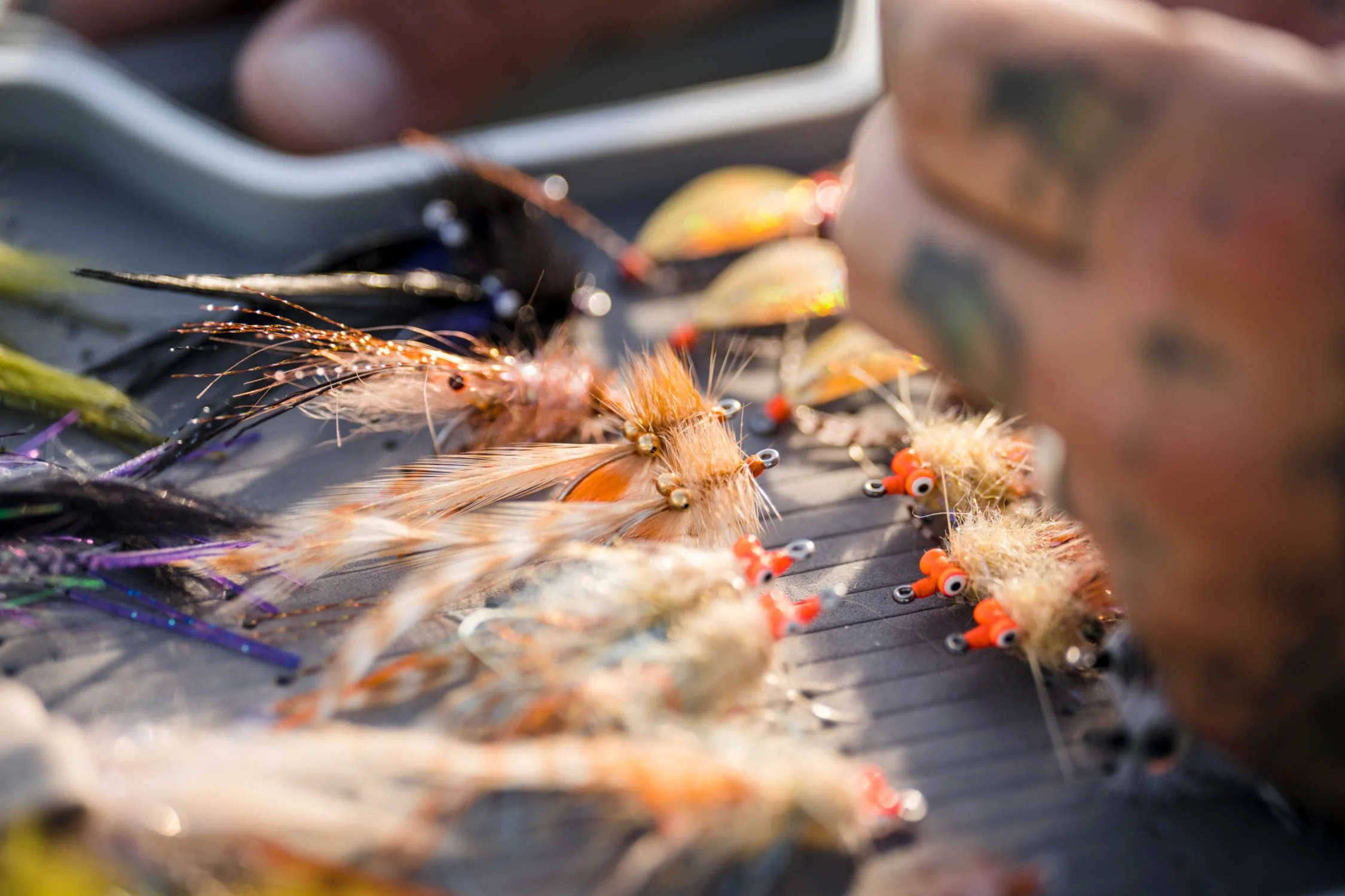 Sight Cast Fishing Company — Saltwater Fly Fishing Apparel, Flies