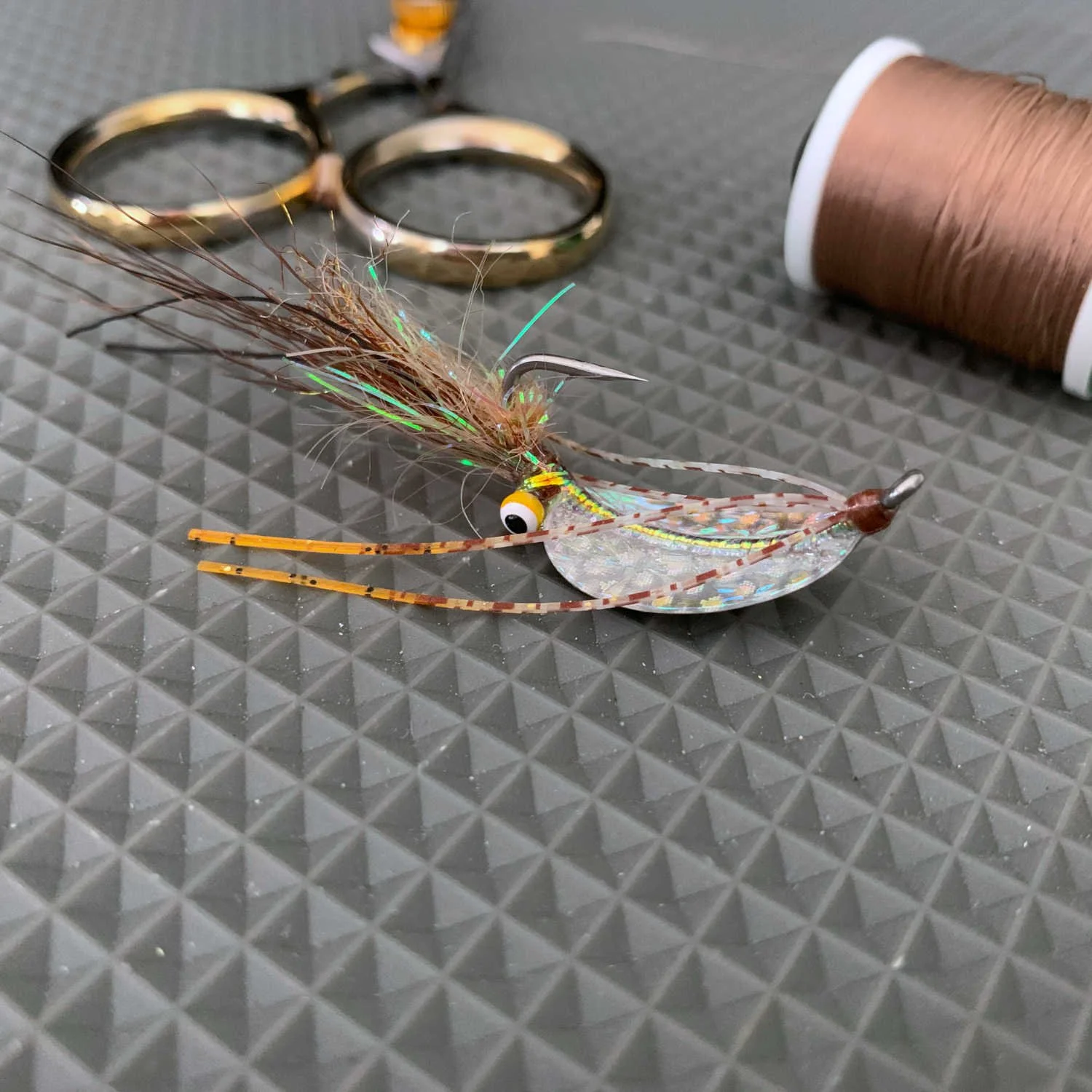 Shrimpadillo V1 Silver Tan 1500.JPG