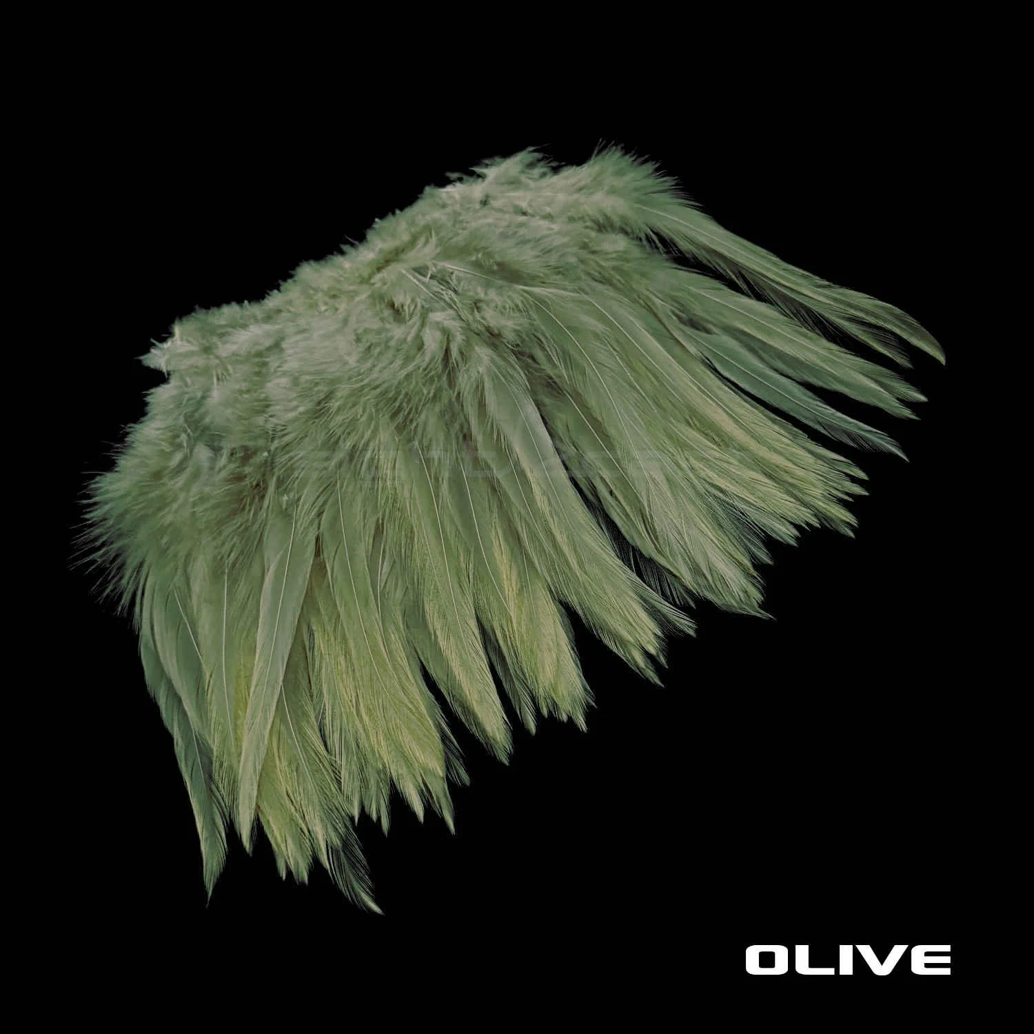 Premium Strung Saddle Hacke - Fly Tying Materials - Olive.JPG