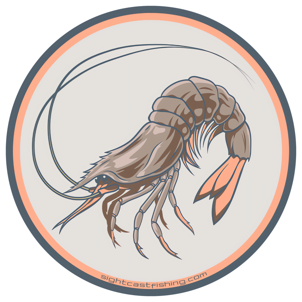 Gulf Shrimp Fly Fishing Decal.png