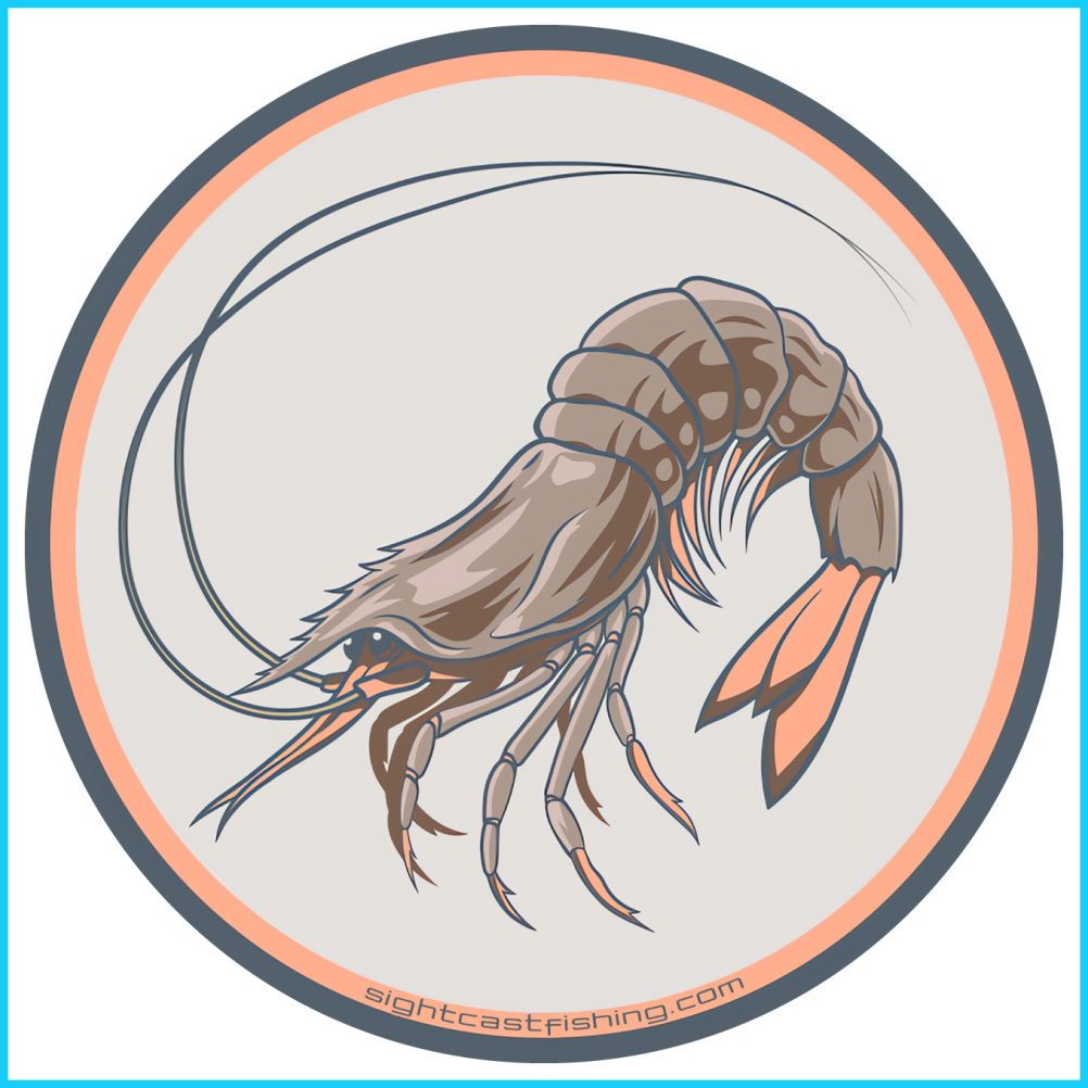 Gulf Shrimp Fly Fishing Sticker.png