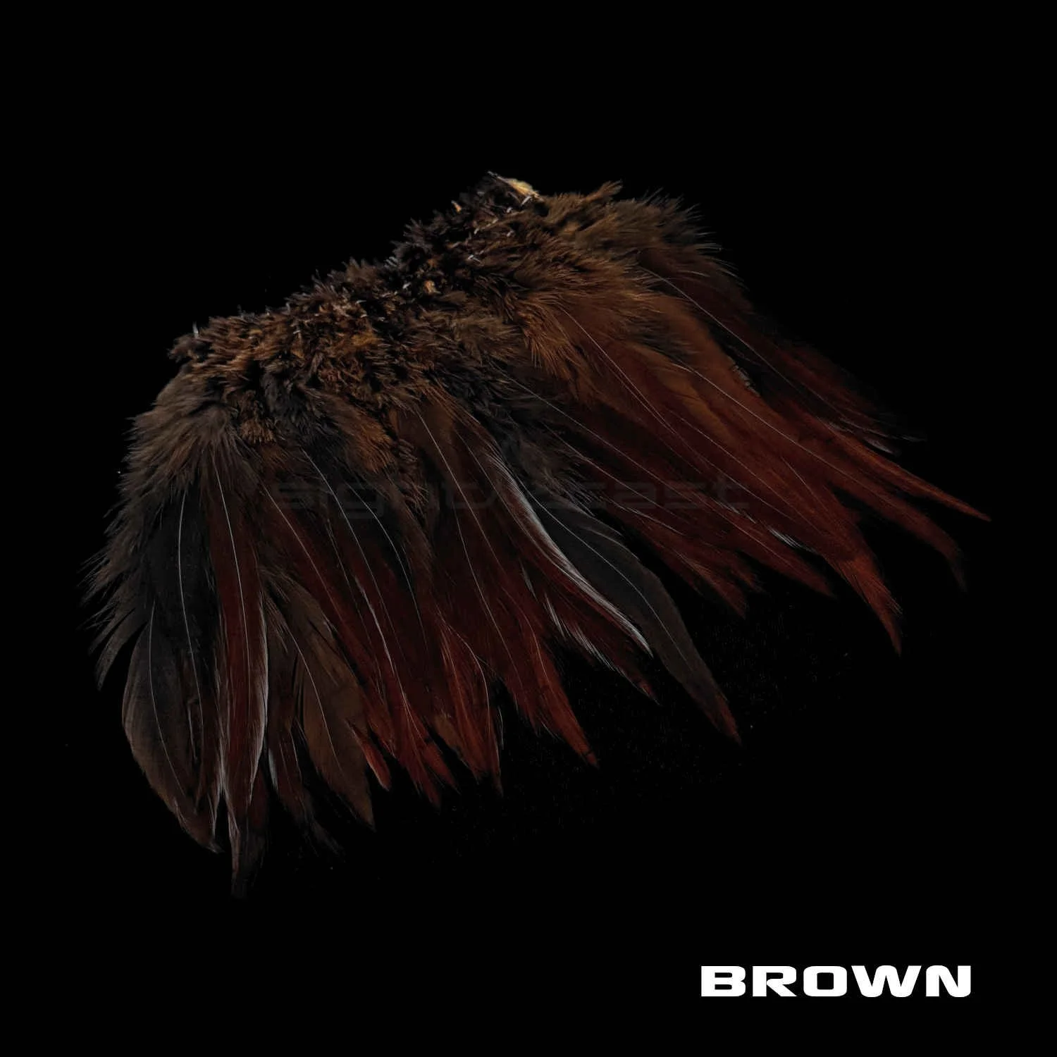 Premium Strung Saddle Hacke - Fly Tying Materials - Brown.JPG